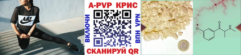 Альфа ПВП СК  Гусев 