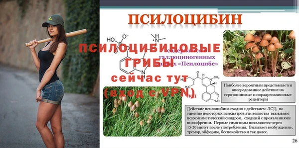 круглые Бронницы